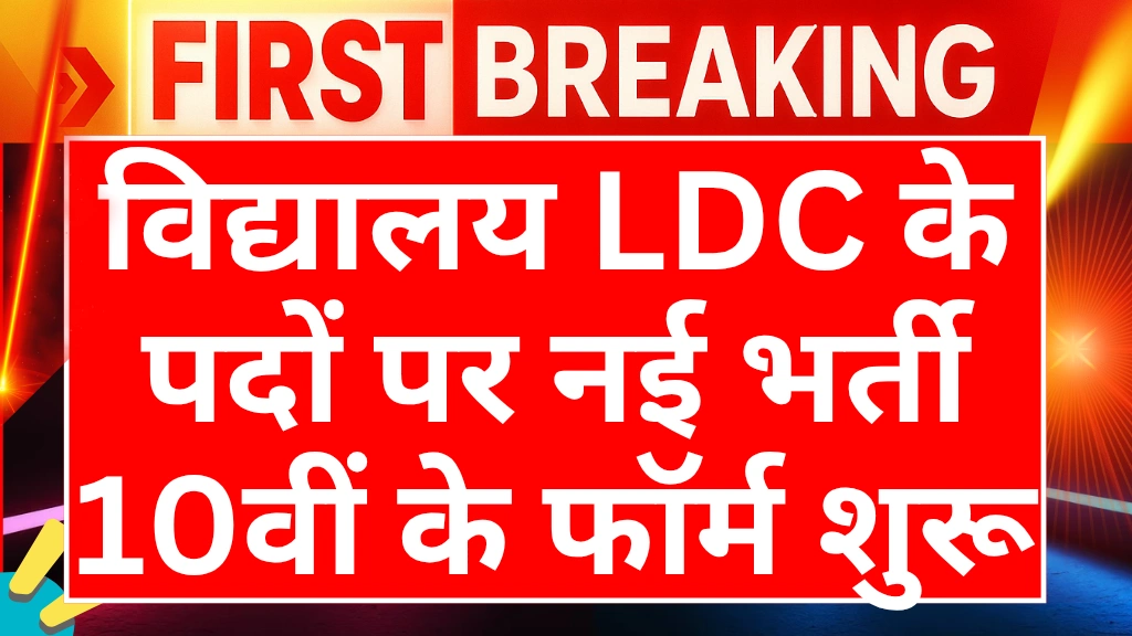 primary-school-ldc-vacancy-2025