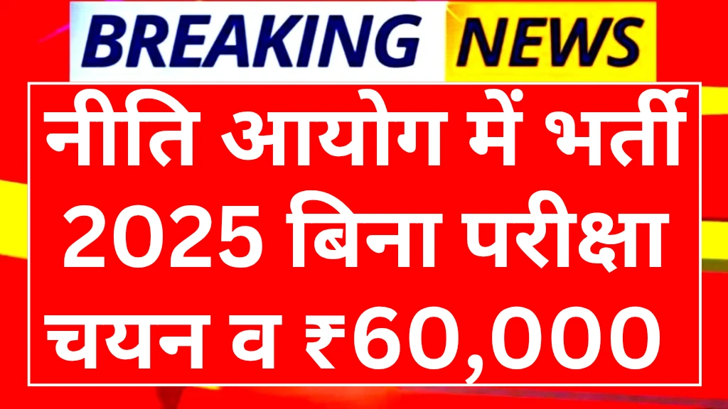 niti-aayog-vacancy-2025
